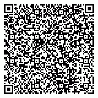 vCard 79286300335