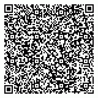 vCard 79286300352