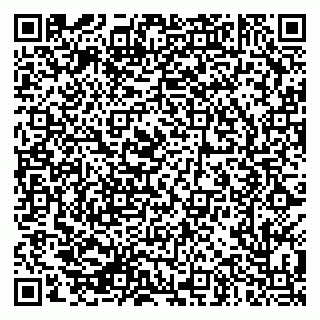 vCard 79286300398