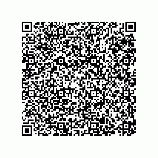 vCard 79287002100