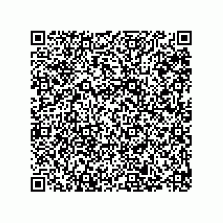 vCard 79289100003