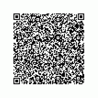 vCard 79289100013