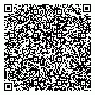 vCard 79290002011