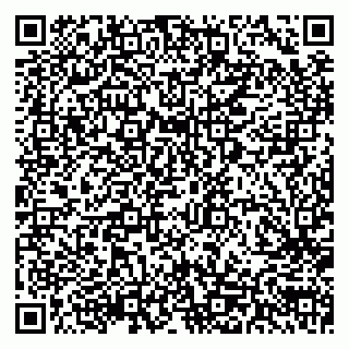 vCard 79290002039