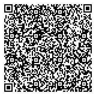 vCard 79290210010
