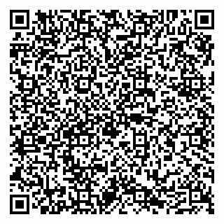 vCard 79290210237