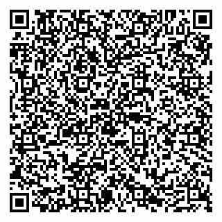vCard 79290210285