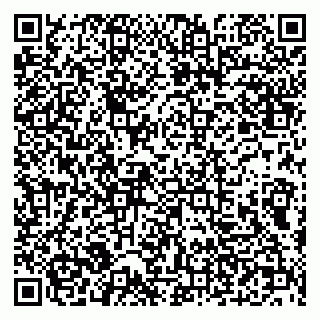 vCard 79290210294