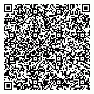 vCard 79290210303