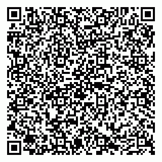 vCard 79290210331