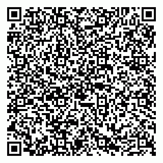 vCard 79290210397