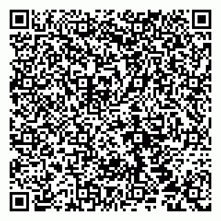 vCard 79290210399