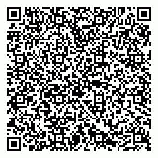 vCard 79290211313