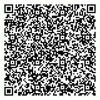 vCard 79290211354