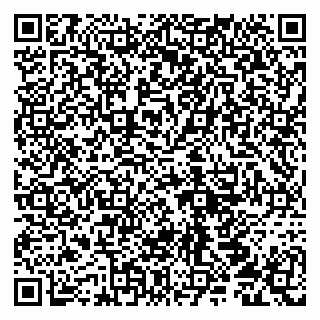 vCard 79290211381
