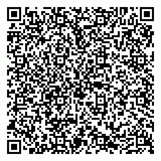 vCard 79290211390