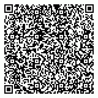 vCard 79290211401