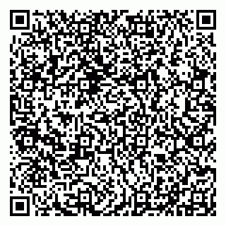 vCard 79290211411