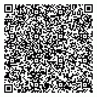 vCard 79290211500