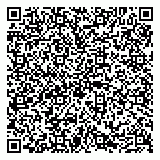 vCard 79290212400