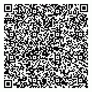 vCard 79290212533