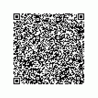 vCard 79290380002