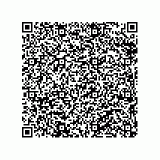vCard 79290380003