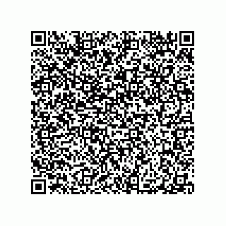 vCard 79290380005