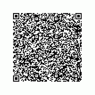 vCard 79290380009