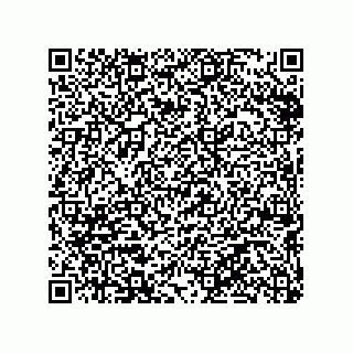 vCard 79290380011