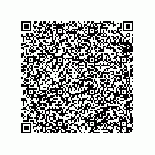 vCard 79290380013