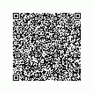vCard 79290380017