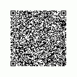 vCard 79290380018