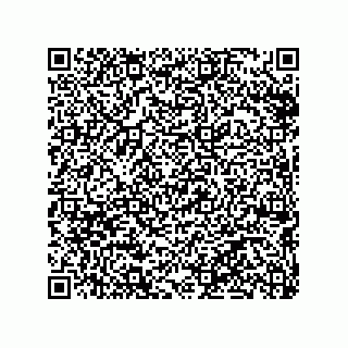 vCard 79290380019