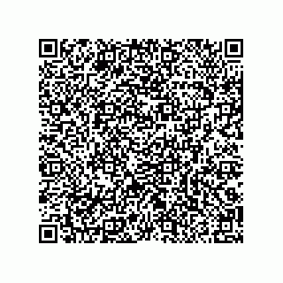 vCard 79290380021