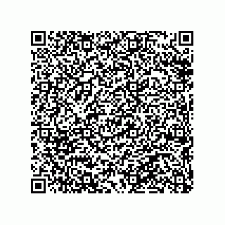 vCard 79290380022