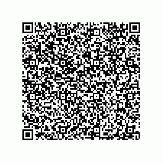 vCard 79290380025
