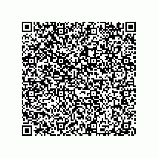 vCard 79290380027