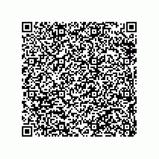 vCard 79290380029