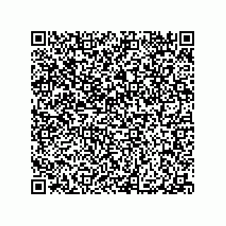 vCard 79290380031