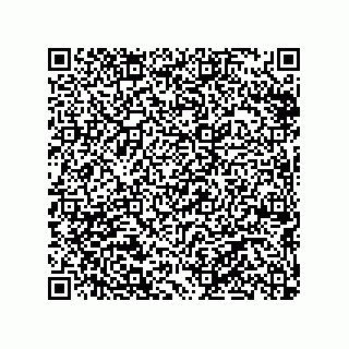 vCard 79290380033