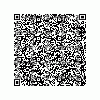vCard 79290380035