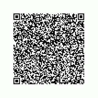 vCard 79290380040