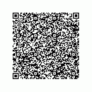 vCard 79290380041