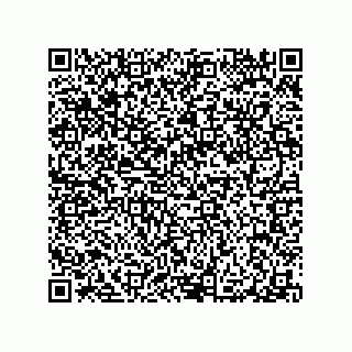 vCard 79290380049