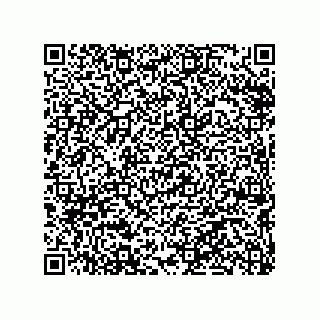 vCard 79290380059