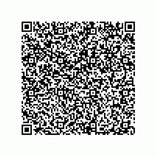 vCard 79290380063