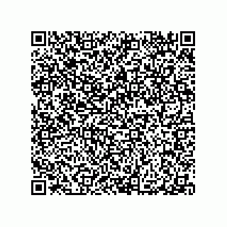vCard 79290380065