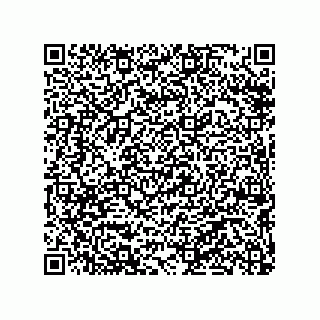 vCard 79290380067
