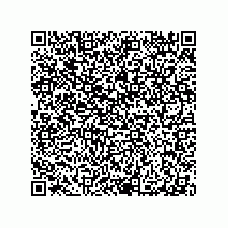 vCard 79290380068